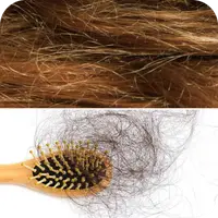 Brittle hair and a brush full of shed hair